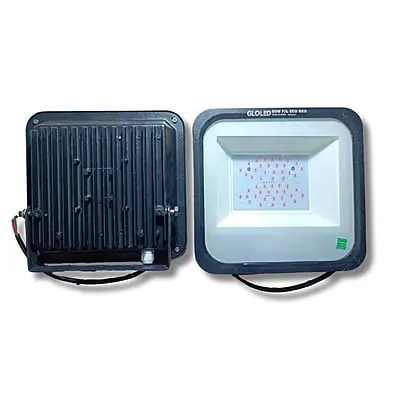 Flood Light Colour
