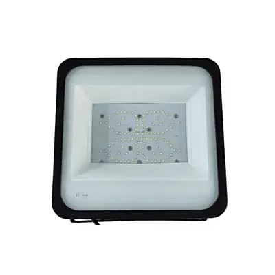 Flood Light Colour