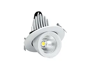 Zoom Light