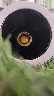 PG COB Downlight